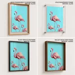 Three pink flamingo