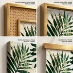 Green cactus