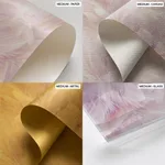 Bird feather