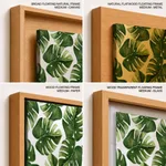 Colorful background monstera leaf