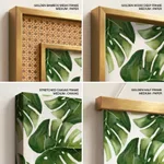 Colorful background monstera leaf
