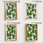 Colorful background monstera leaf