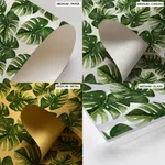 Colorful background monstera leaf