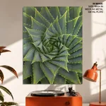 Aloe vera plant