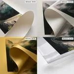 Black and white foggy forest