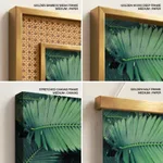 Dark green palm leaf