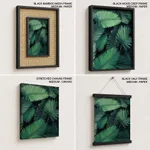 Dark green palm leaf