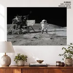 Astronaut John W Young