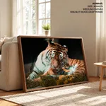 Siberian tiger