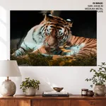 Siberian tiger