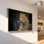Jaguar close up