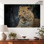 Jaguar close up