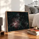 Tarantula nebula