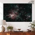 Tarantula nebula