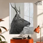 Buck