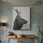 Buck