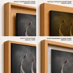 Cranes