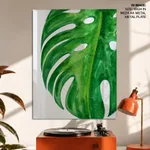Watercolour green monstera leaf