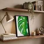 Watercolour green monstera leaf