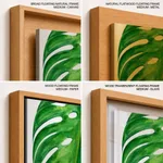 Beige green monstera leaf