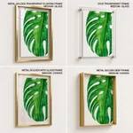 Beige green monstera leaf