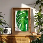 Beige green monstera leaf