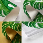 Beige green monstera leaf