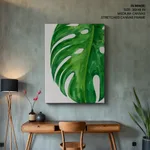 Beige green monstera leaf