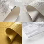 Strip below poster white map of Belgaum