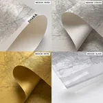 Strip below poster white map of Dhaka