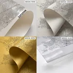 Strip below poster white map of Zapopan