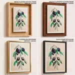 Vinatge botanical black blue fruit