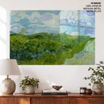 Green fields
