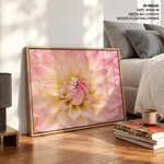 Dahlia Flower