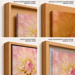 Dahlia Flower