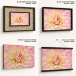 Dahlia Flower