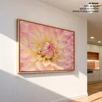 Dahlia Flower