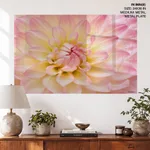 Dahlia Flower