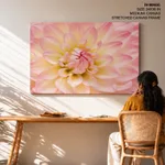 Dahlia Flower