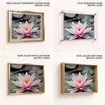 Pink lotus leaf with black and white background