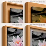 Pink lotus leaf with black and white background