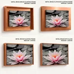 Pink lotus leaf with black and white background