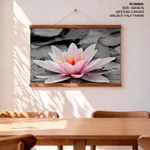 Pink lotus leaf with black and white background