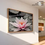 Pink lotus leaf with black and white background