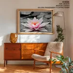 Pink lotus leaf with black and white background