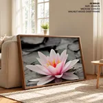 Pink lotus leaf with black and white background