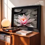 Pink lotus leaf with black and white background