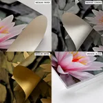 Pink lotus leaf with black and white background