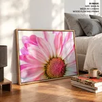 Pink flower