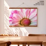 Pink flower